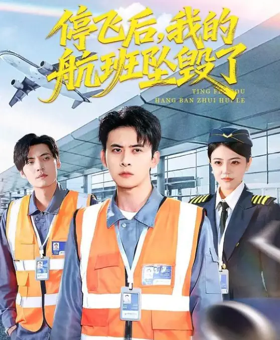 《停飞后，我的航班坠毁了》-2026热播短剧全100集-无广告4K未删减免费观看【1080p超清中字】网盘下载