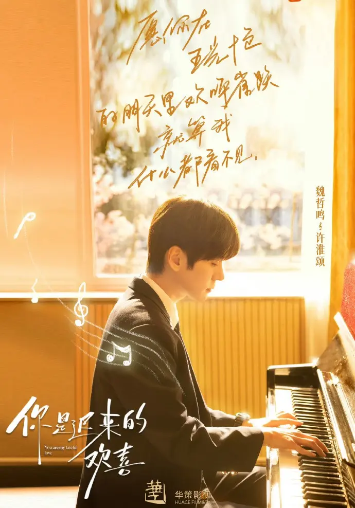 《你是迟来的欢喜》免费在线观看全集 - 魏哲鸣主演短剧高清 - VS影院《你是迟来的欢喜》无广告播放