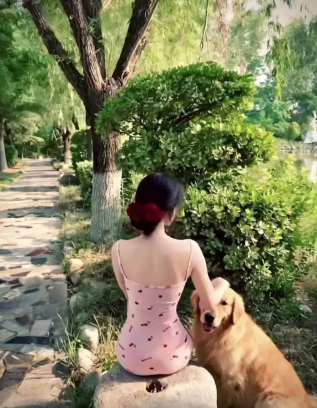 限时观看《香香公主与金毛爱犬》，高能瞬间不断，见证跨物种深情相依，暖心羁绊诠释最本真的情感形态！