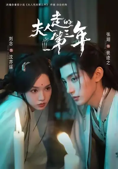 《夫人走的第三年》相关资源图片