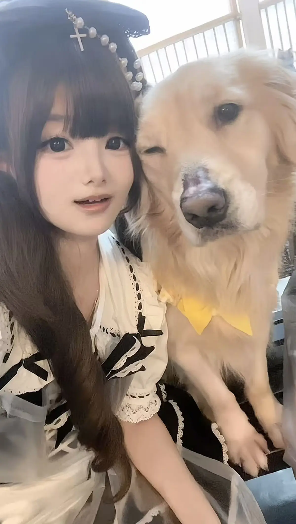 在线观看《金毛小蛋糕海鲜事件》全集 - 体验香香公主和金毛的故事 - 4K超高清纯净极速播放