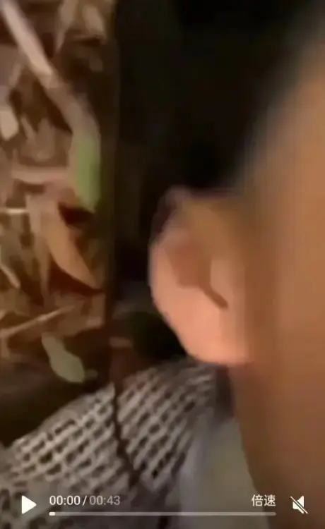 《女轻奢事件》不容错过！涵盖轻奢事件、双人大战，聚焦校园轻奢男孩，免费在线畅享轻奢二人组无删减超清视频！